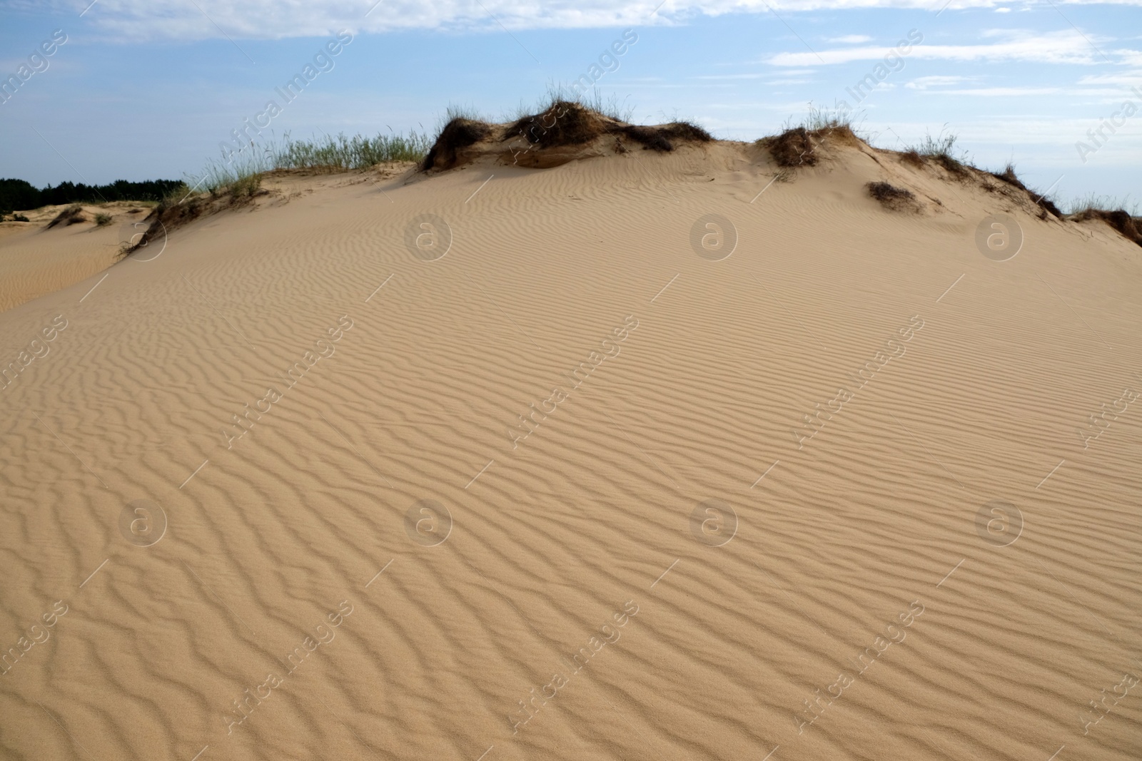 Photo of Picturesque landscape of desert on sunny day