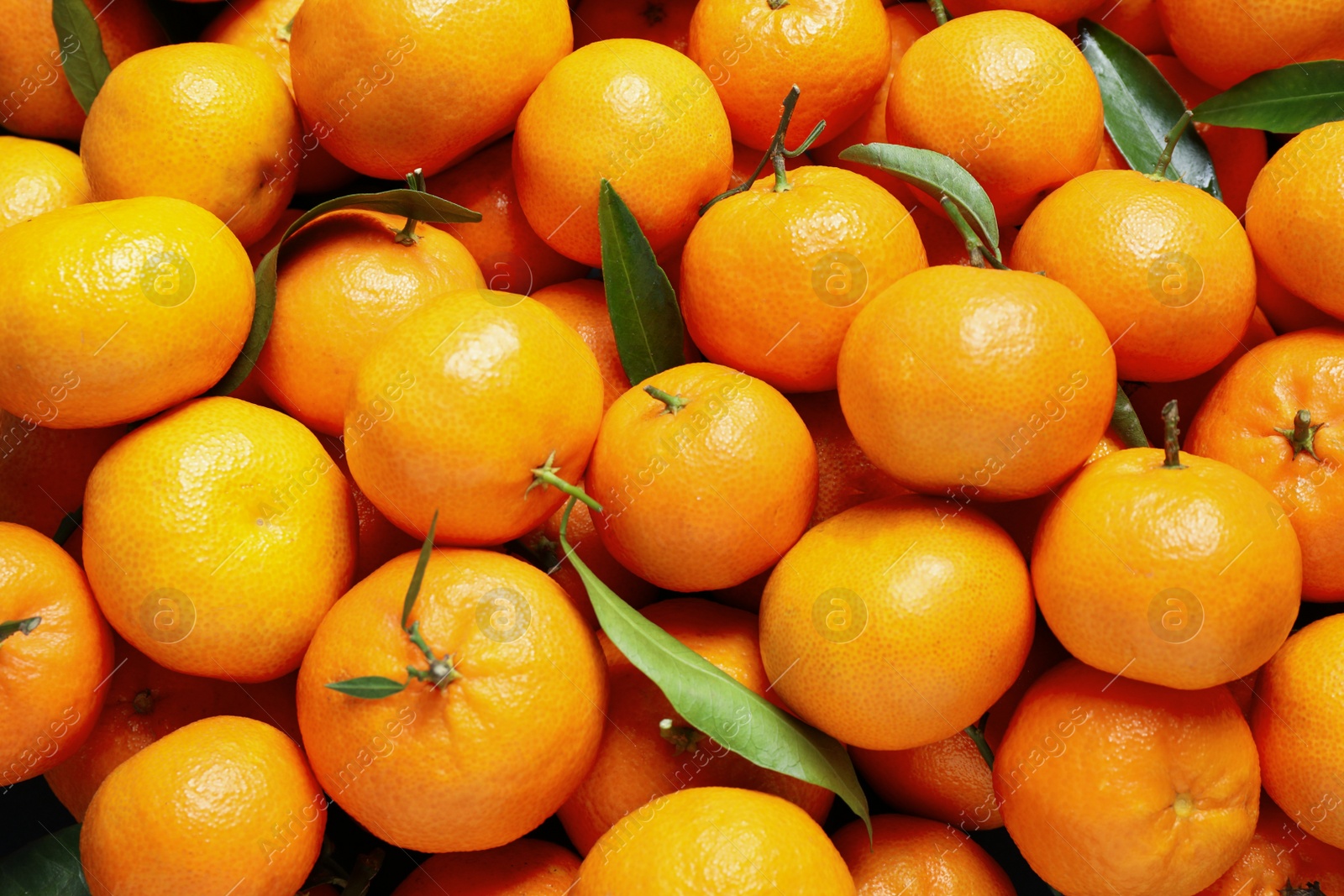 Photo of Fresh ripe tangerines with leaves as background, top view. Citrus fruit