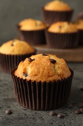 Photo of Delicious freshly baked muffins with chocolate chips on gray table, closeup