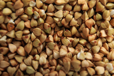 Closeup view of organic green buckwheat as background