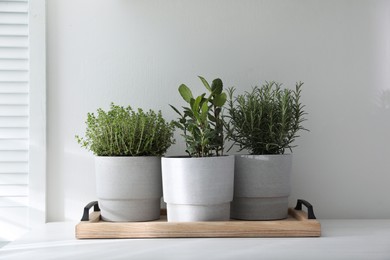 Photo of Different aromatic potted herbs on white table indoors