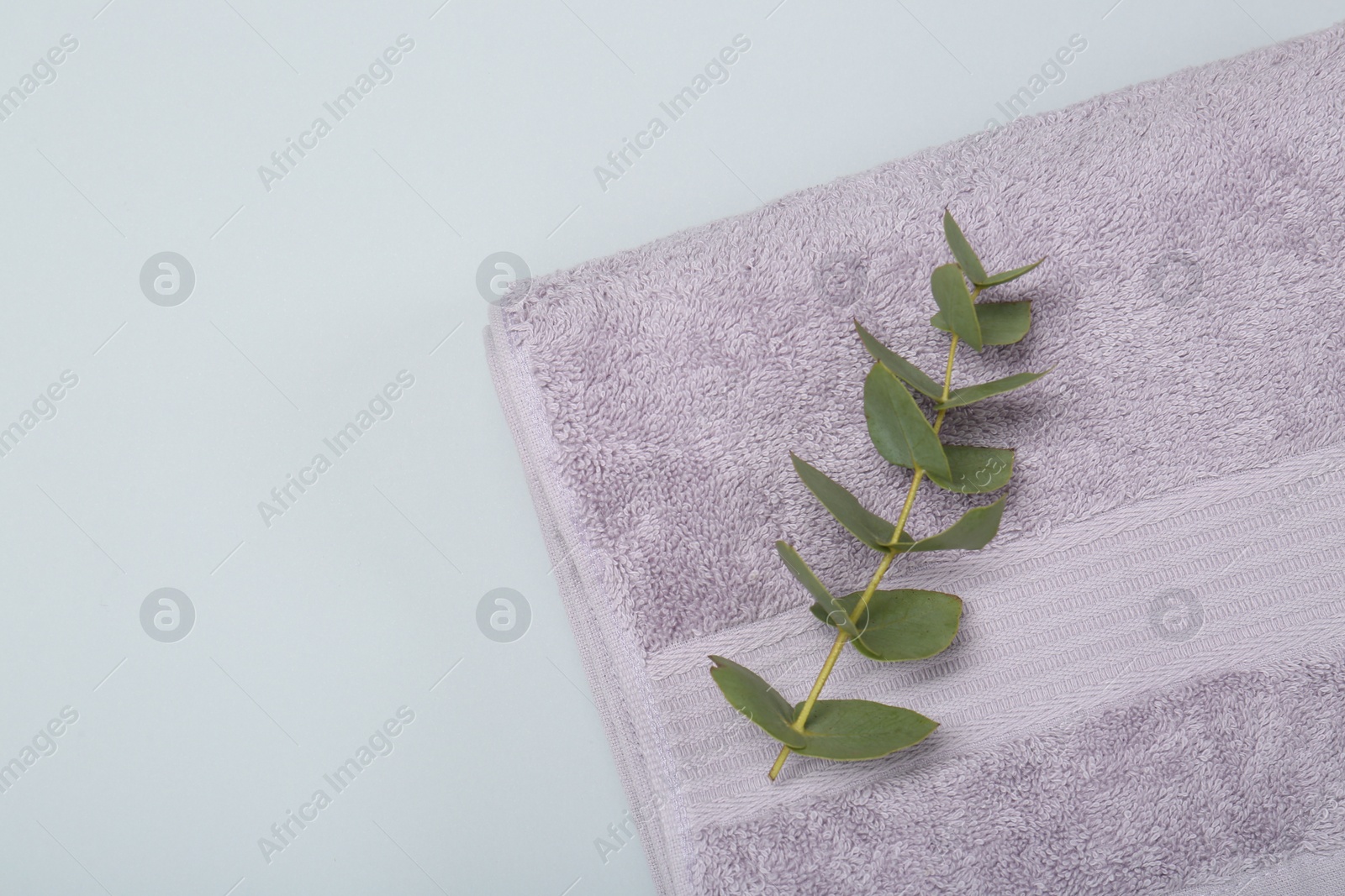 Photo of Violet terry towel and eucalyptus branch on light grey background, top view. Space for text