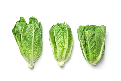 Photo of Fresh ripe cos lettuce on white background