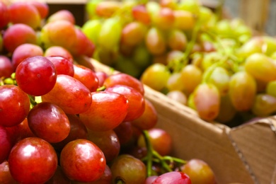 Photo of Fresh ripe juicy grapes as background, closeup view