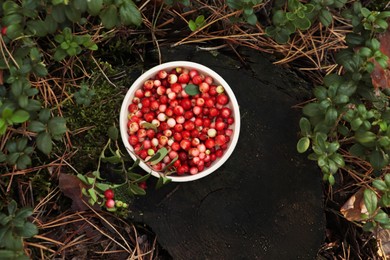 Bowl of delicious ripe red lingonberries outdoors, top view
