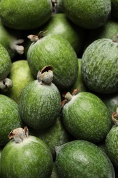 Photo of Fresh green feijoa fruits as background, closeup