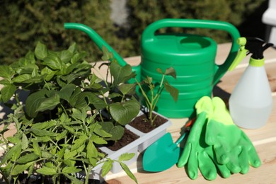 Seedlings growing in plastic containers with soil, trowel, rubber gloves and watering can on table outdoors