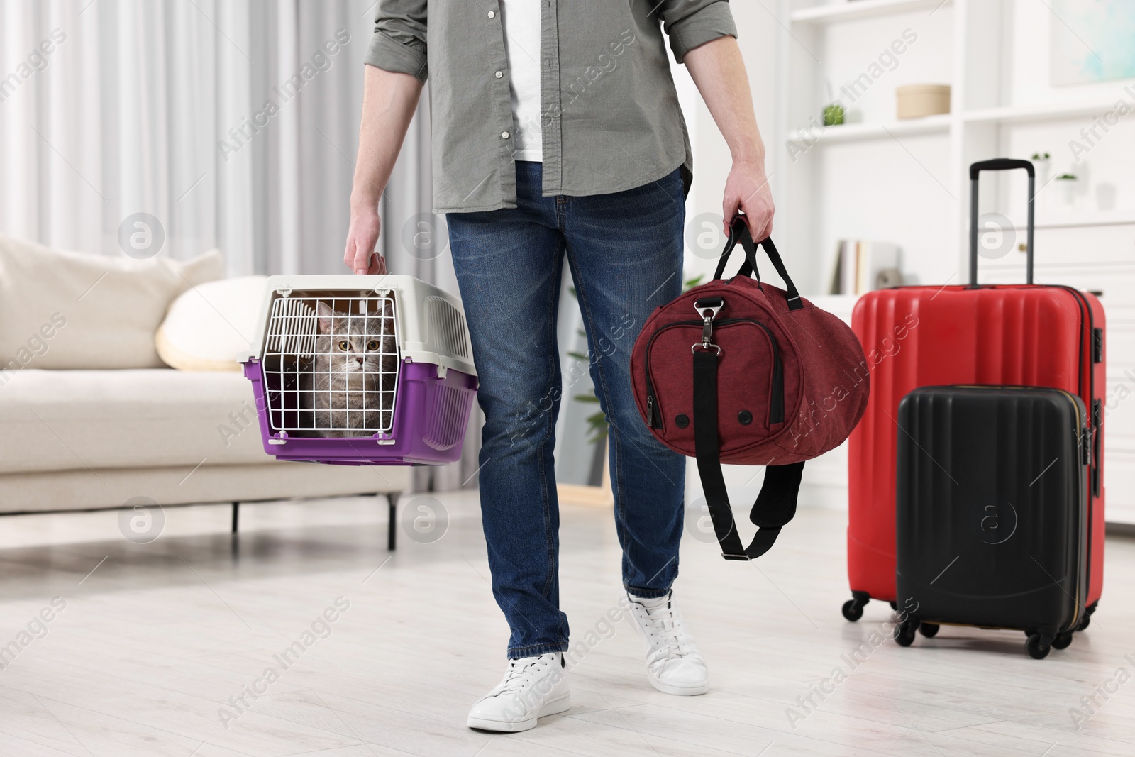 Photo of Travel with pet. Man holding carrier with cute cat and bag at home, closeup