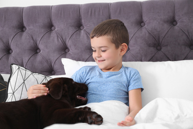 Funny puppy and little boy in bed at home. Friendly dog