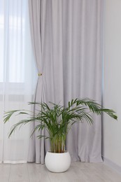 Photo of Stylish room interior with houseplant and beautiful window curtains