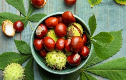 Photo of Horse chestnuts and leaves on blue wooden table, flat lay