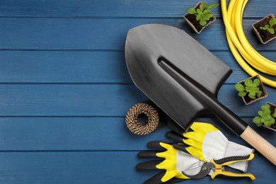 Gardening tools and plants on blue wooden background, flat lay. Space for text