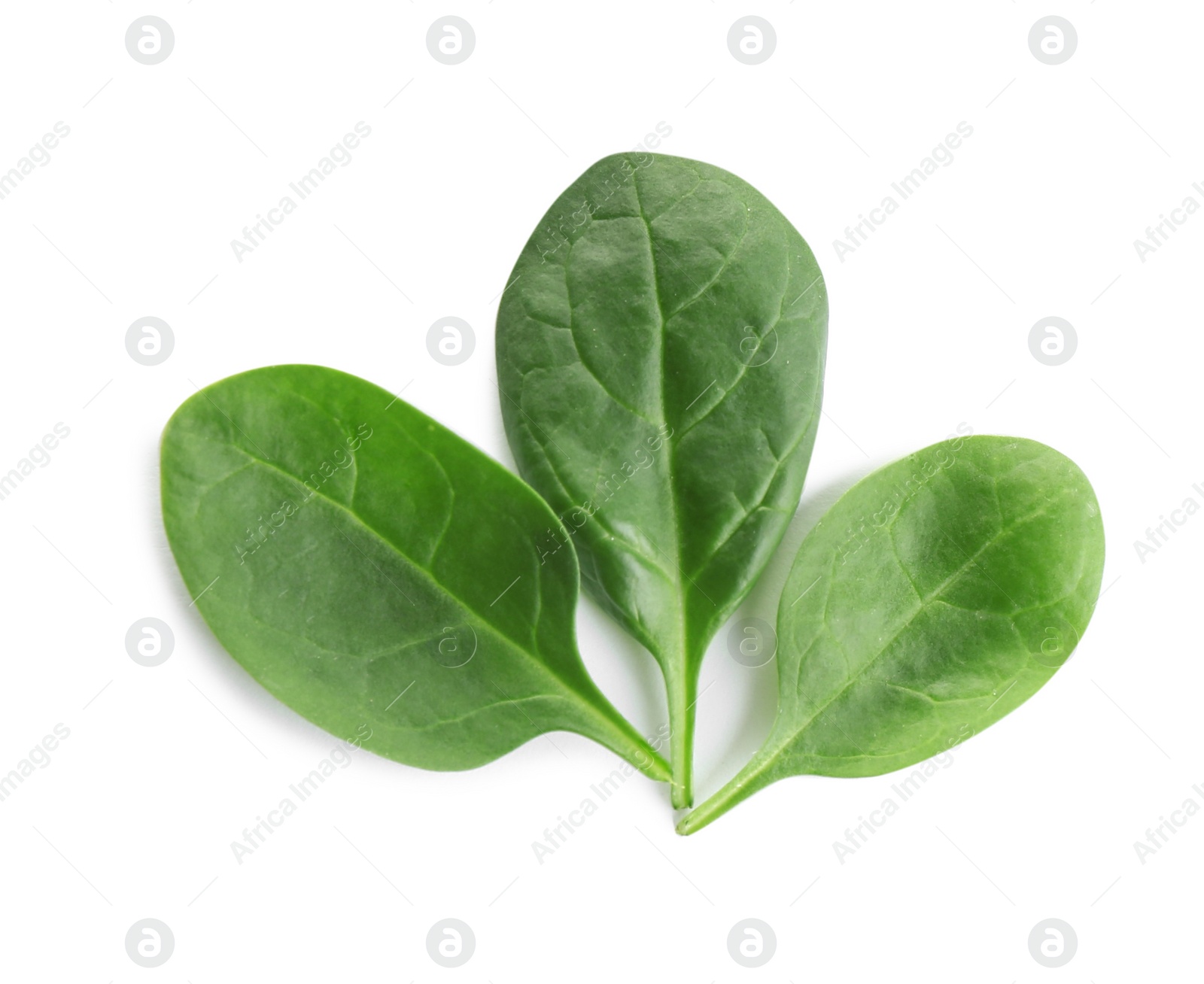 Photo of Fresh green leaves of healthy baby spinach on white background, top view