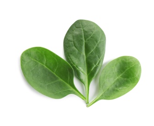 Fresh green leaves of healthy baby spinach on white background, top view