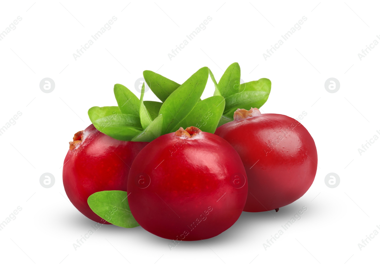 Image of Fresh ripe cranberries with leaves isolated on white