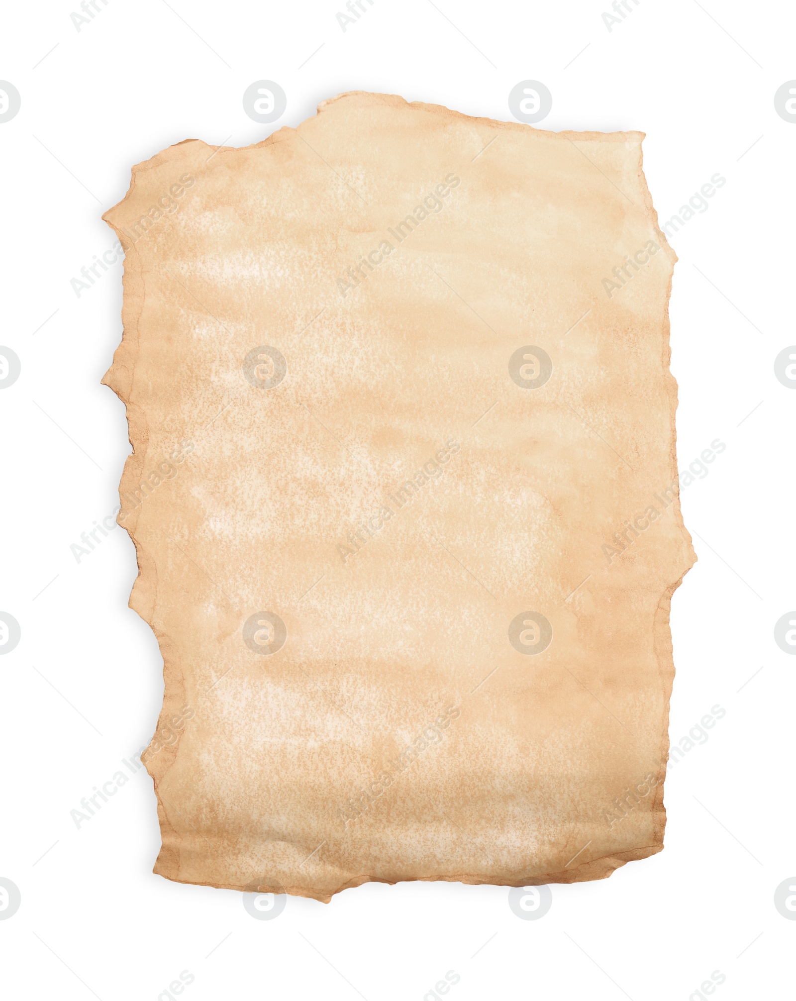 Photo of Blank sheet of old parchment paper on white background, top view