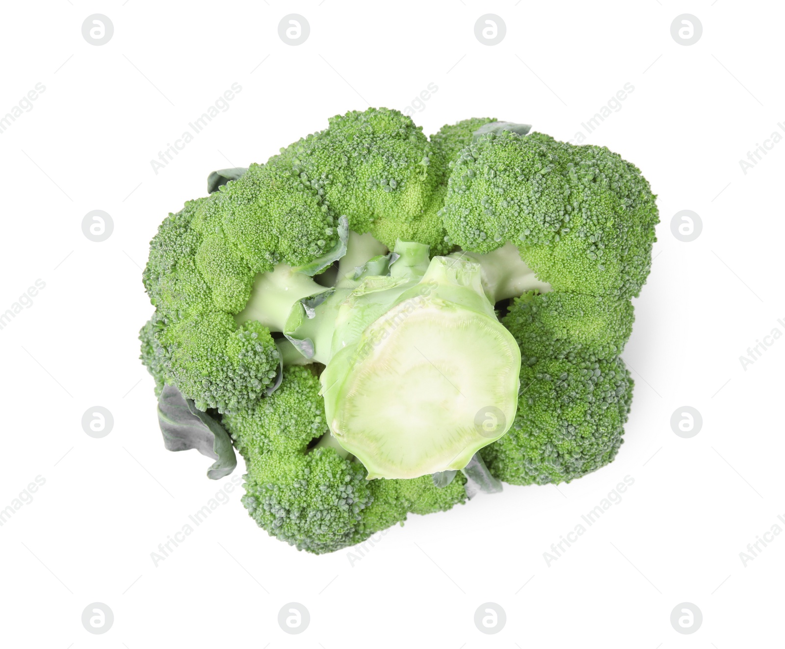 Photo of Fresh raw green broccoli isolated on white