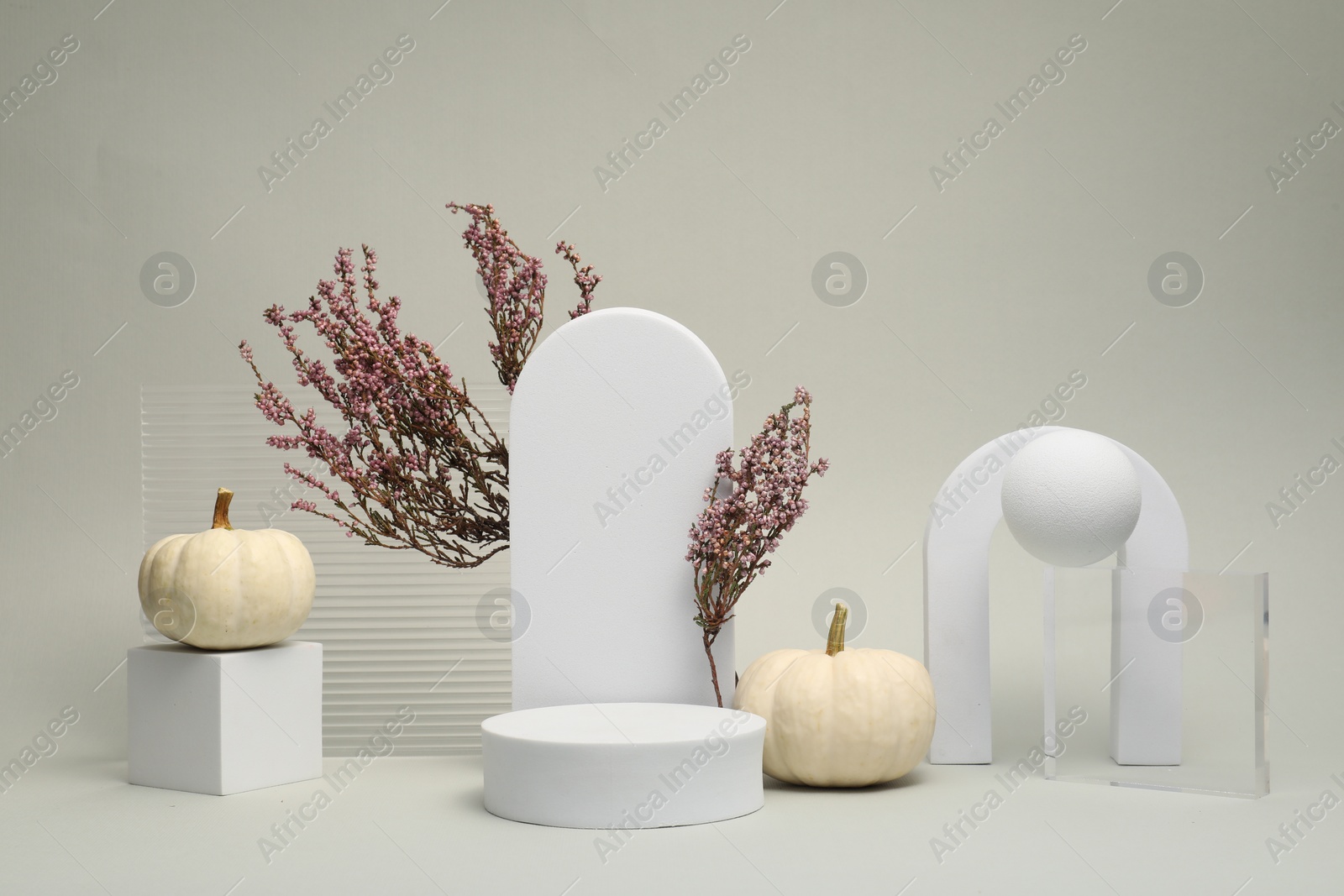 Photo of Autumn presentation for product. Geometric figures, pumpkins and heather flowers on light grey background