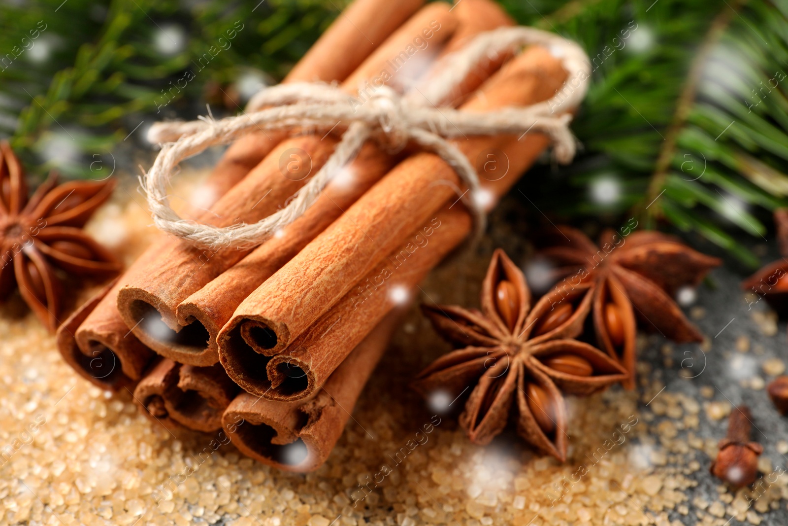 Image of Different spices and fir tree branches on grey table, closeup. Cinnamon, anise, cloves, brown sugar