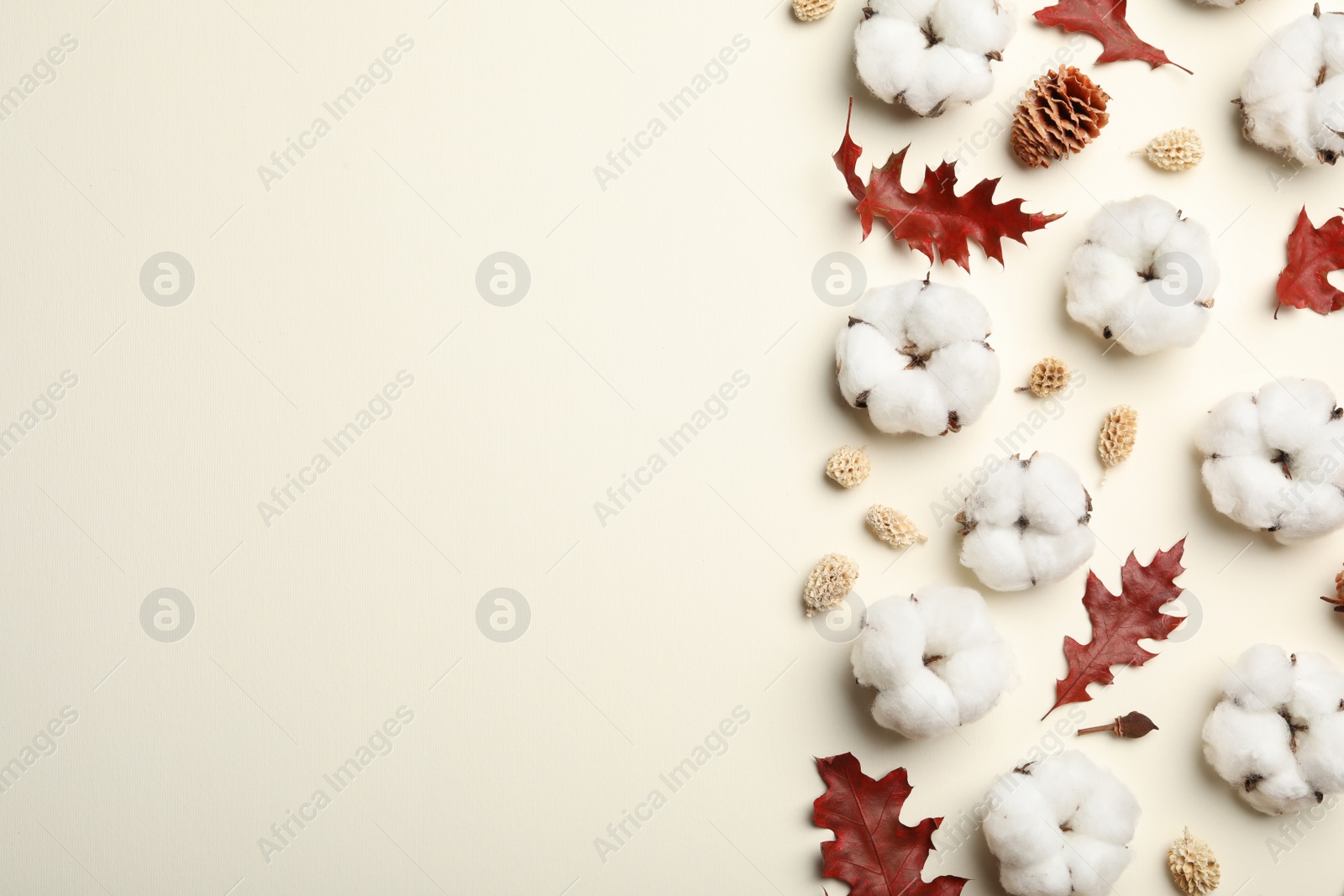 Photo of Flat lay composition with cotton flowers on beige background, space for text