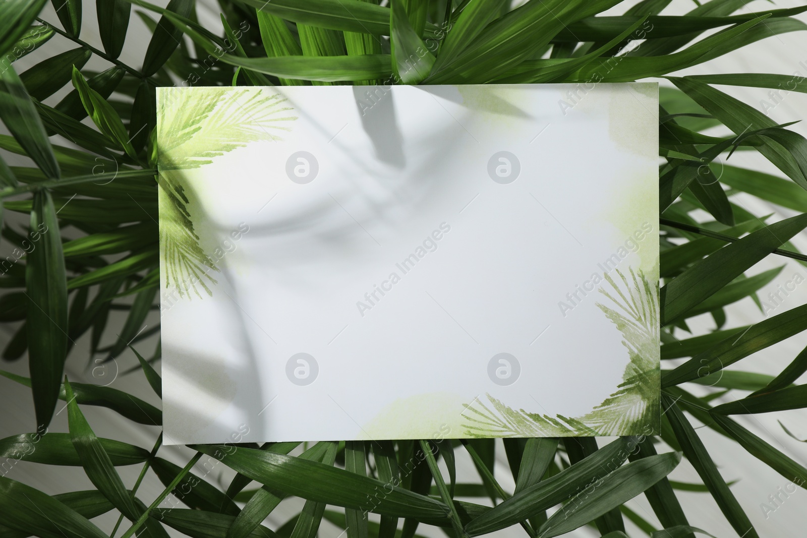 Photo of Blank invitation card and green leaves on white background, top view. Space for text