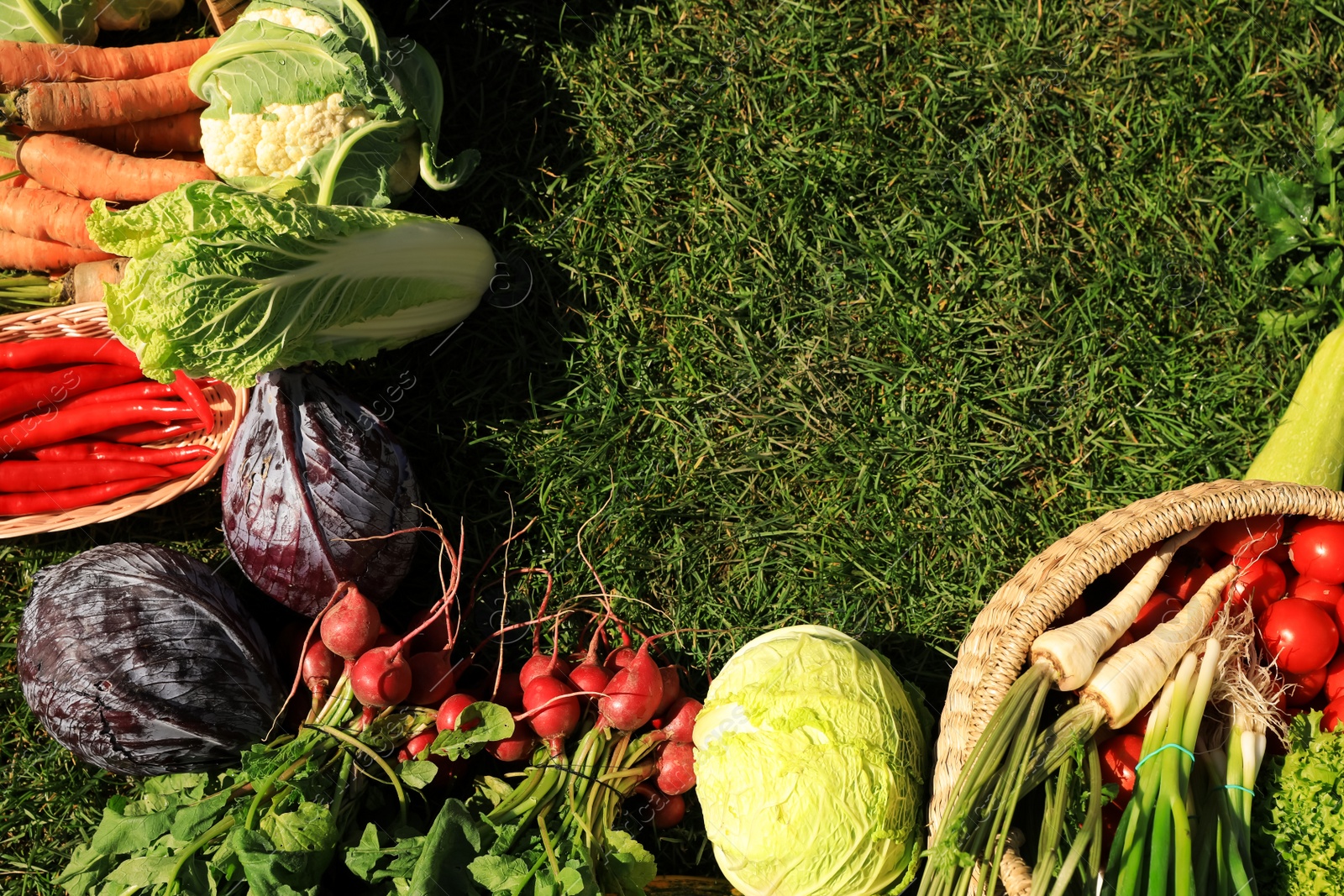 Photo of Different fresh ripe vegetables on green grass, flat lay. Space for text