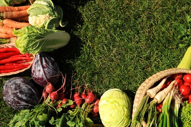Photo of Different fresh ripe vegetables on green grass, flat lay. Space for text