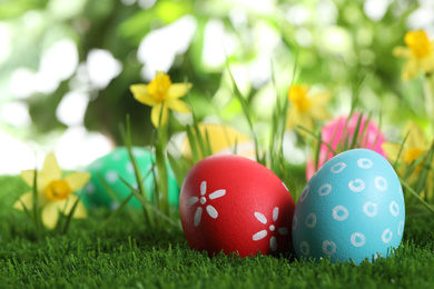 Photo of Colorful Easter eggs and daffodil flowers in green grass