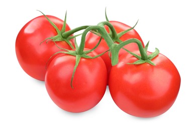 Branch of red ripe tomatoes isolated on white