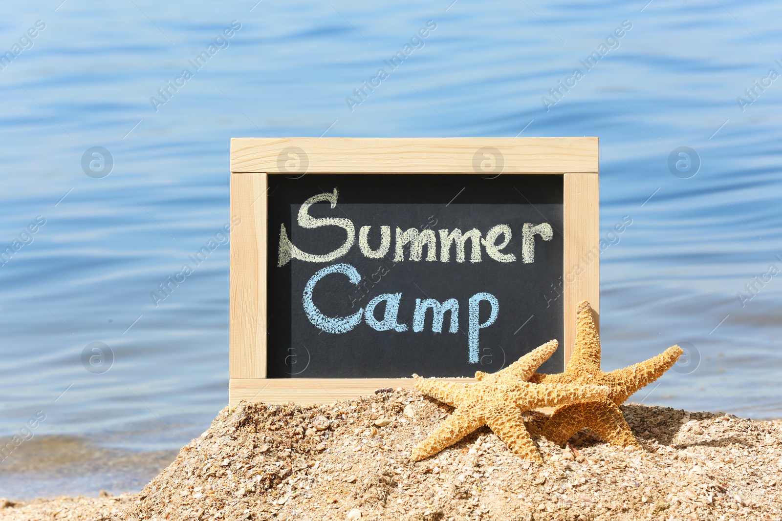 Photo of Little blackboard with text SUMMER CAMP and sea stars on sand near sea