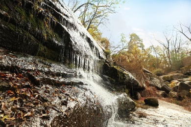 Photo of Picturesque view of beautiful waterfall in forest on autumn day