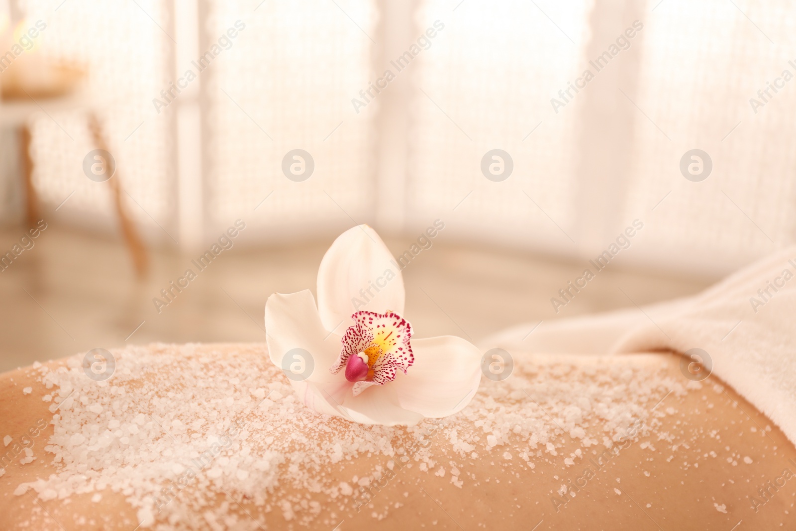 Photo of Young woman having body scrubbing procedure with sea salt in spa salon, closeup