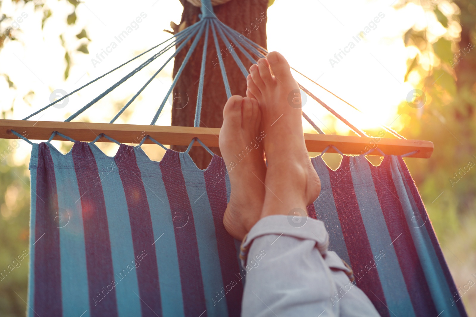 Photo of Man resting in comfortable hammock at green garden, closeup