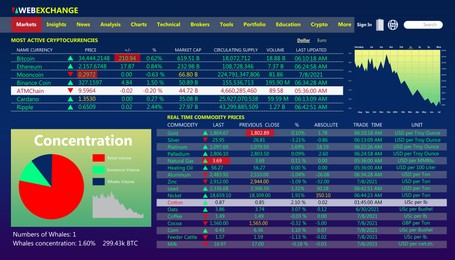 Online stock exchange application with current information, illustration