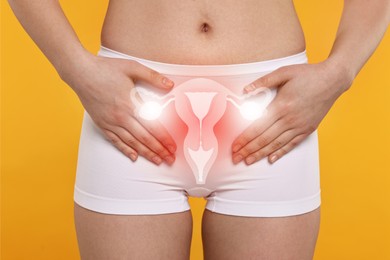 Woman in underwear and illustration of reproductive system on orange background, closeup