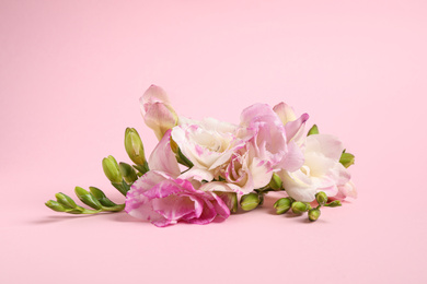 Photo of Beautiful blooming freesia flowers on pink background