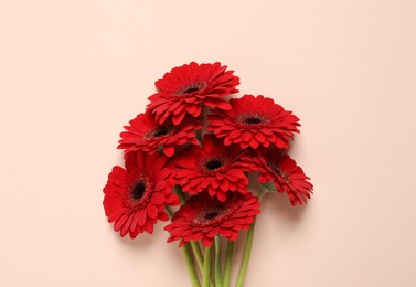 Photo of Bouquet of beautiful red gerbera flowers on beige background, top view