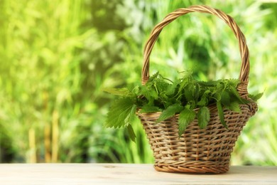 Photo of Fresh nettle in wicker basket on white wooden table outdoors, space for text