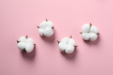Photo of Cotton flowers on pink background, flat lay