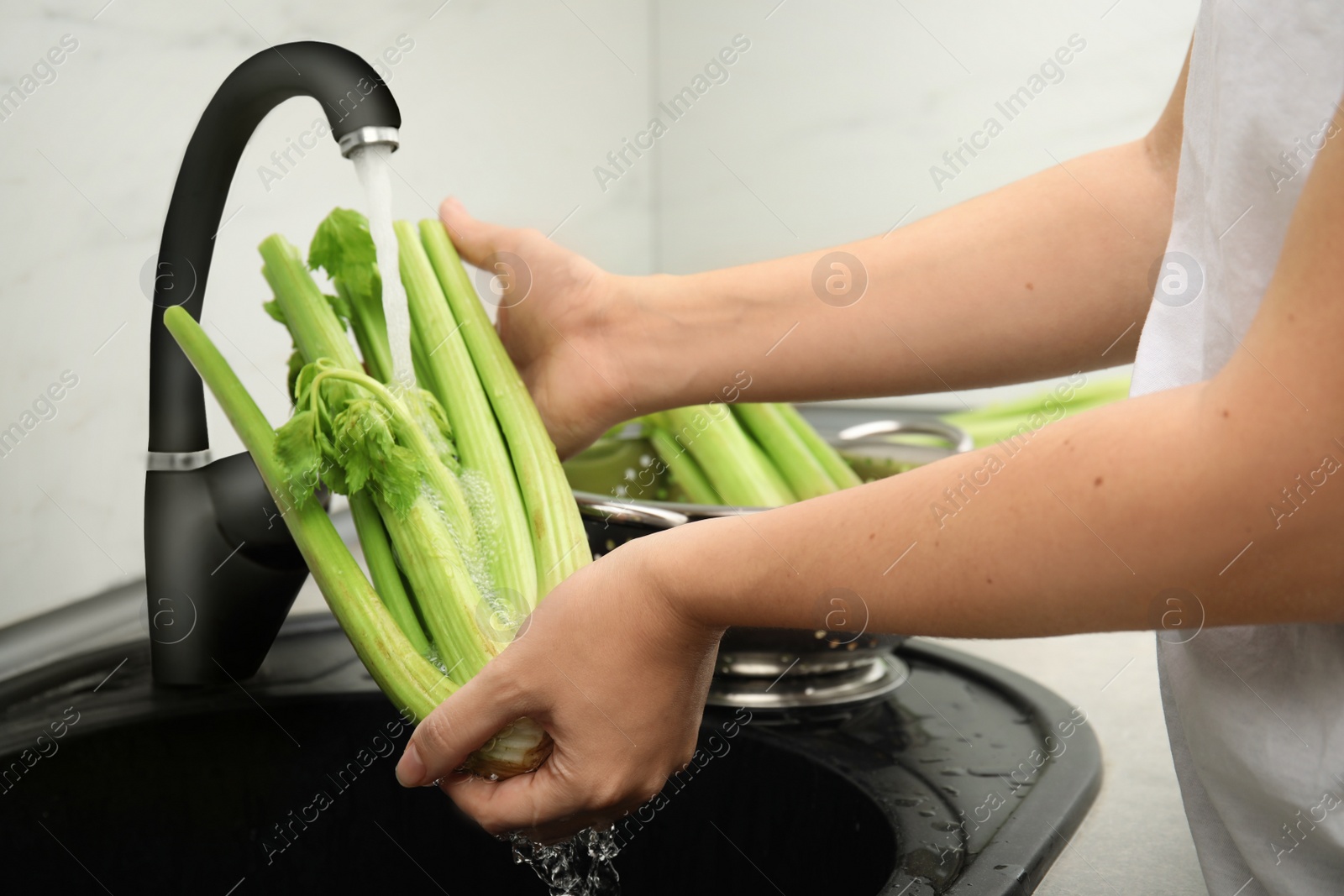 Photo of Woman washing fresh green celery in kitchen sink, closeup