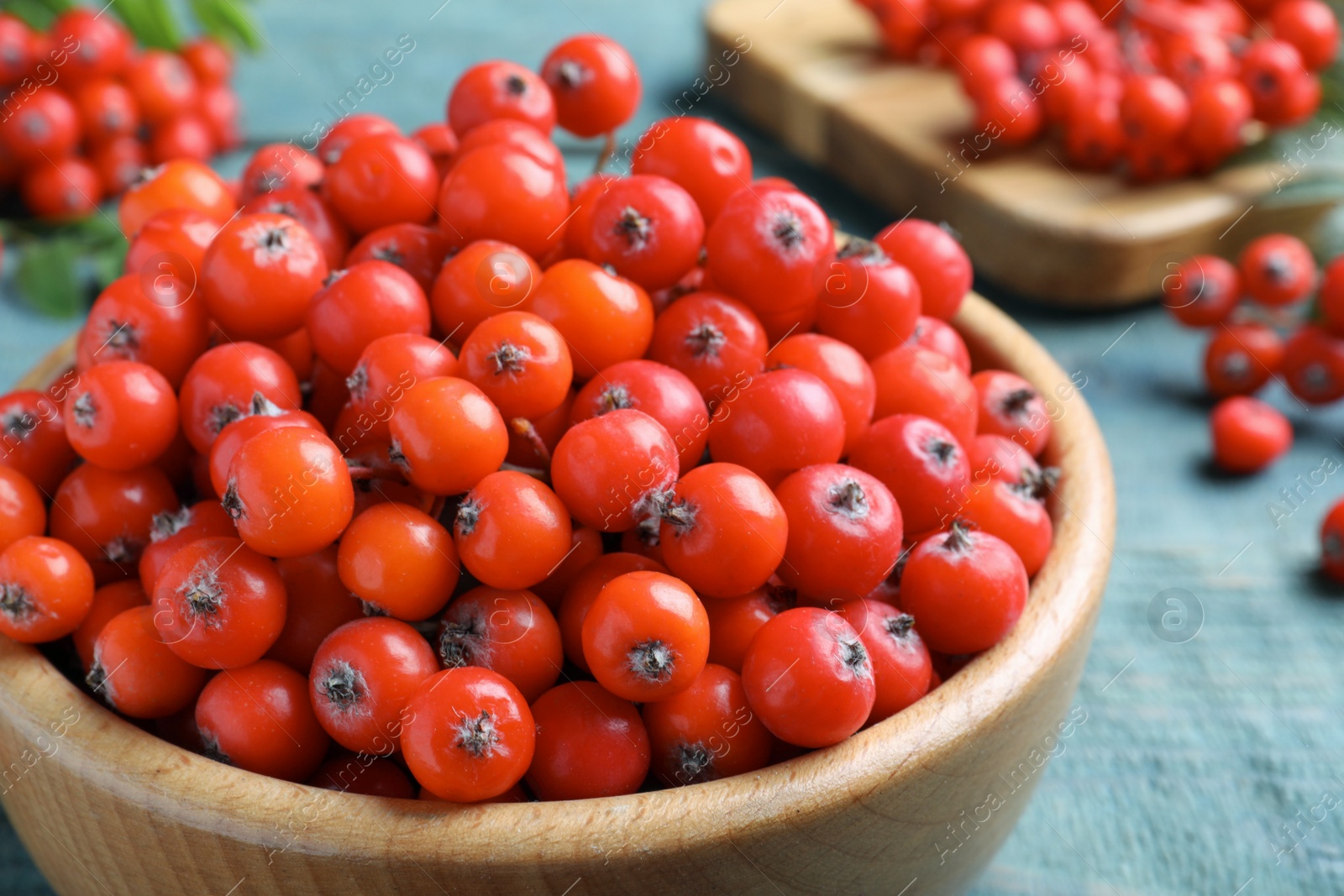 Photo of Fresh ripe rowan berries in wooden bowl on light blue table, closeup