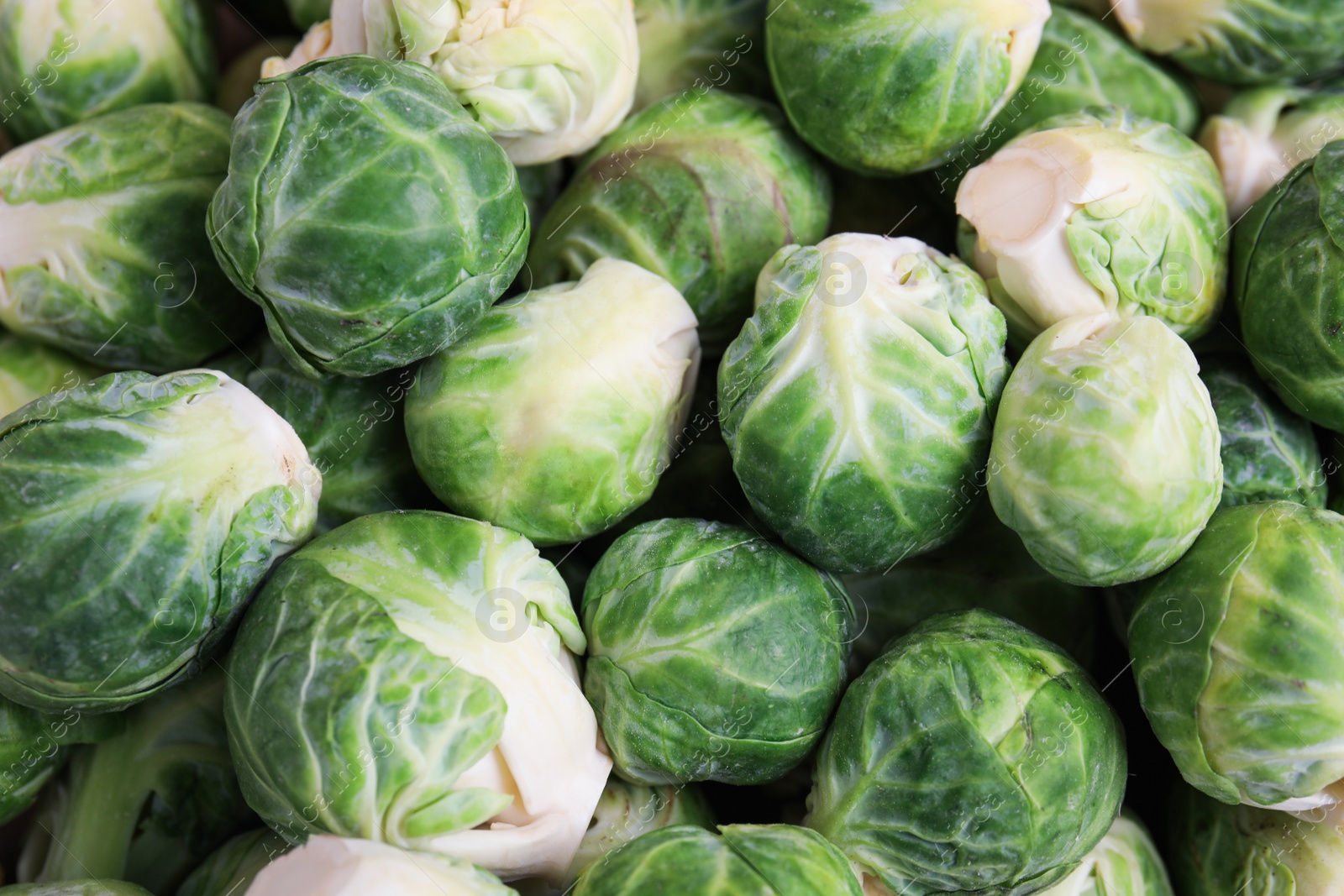 Photo of Fresh tasty Brussels sprouts as background, closeup