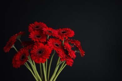 Photo of Bouquet of beautiful red gerbera flowers on black background. Space for text