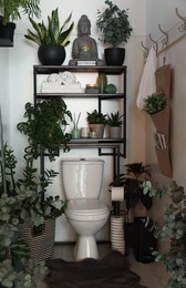 Stylish restroom interior with toilet bowl and green houseplants