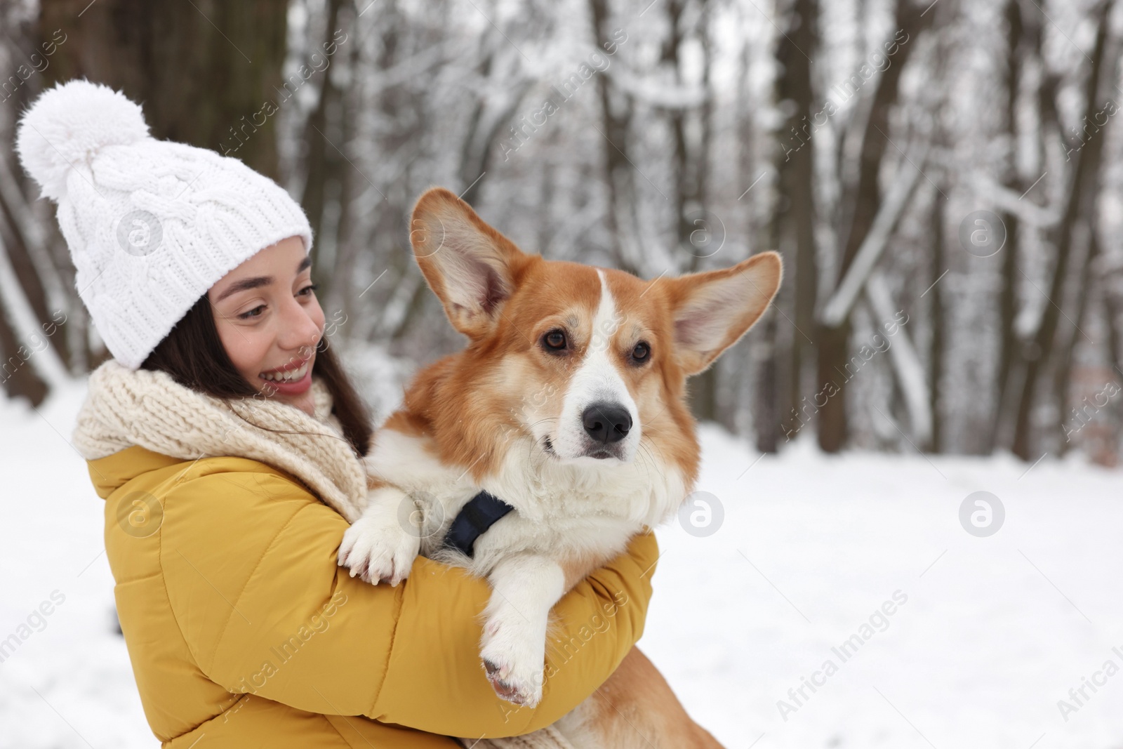 Photo of Woman with adorable Pembroke Welsh Corgi dog in snowy park, space for text