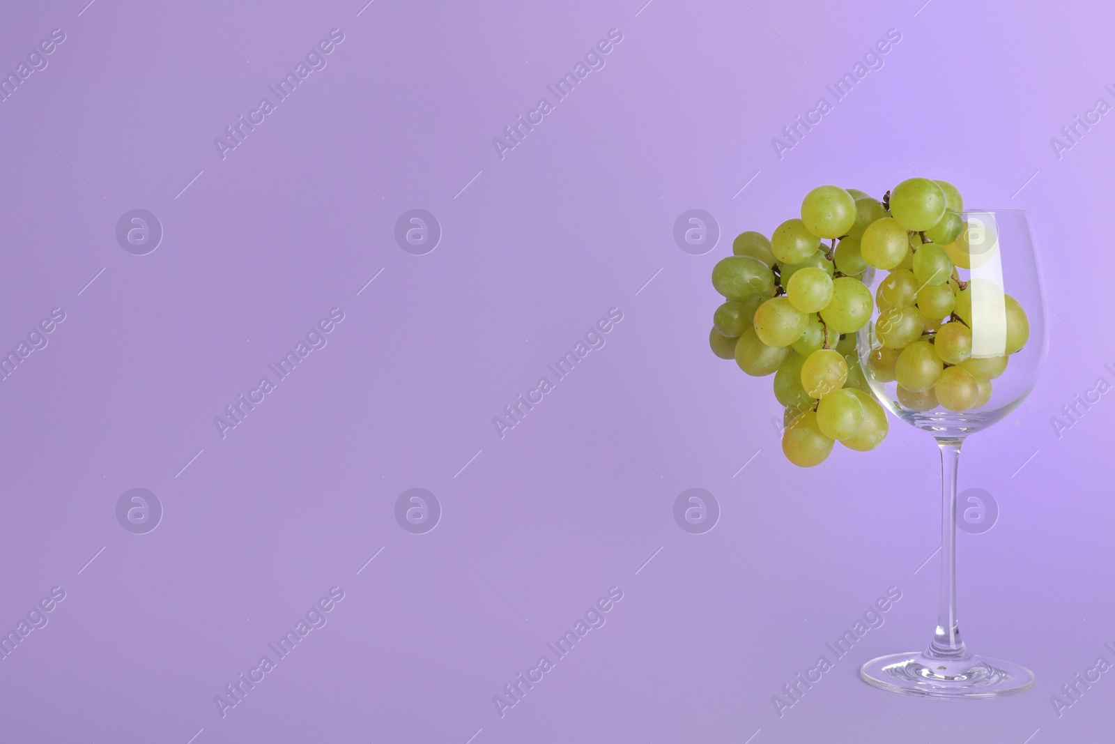 Photo of Bunch of grapes in wineglass on lilac background. Space for text