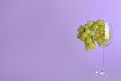 Bunch of grapes in wineglass on lilac background. Space for text