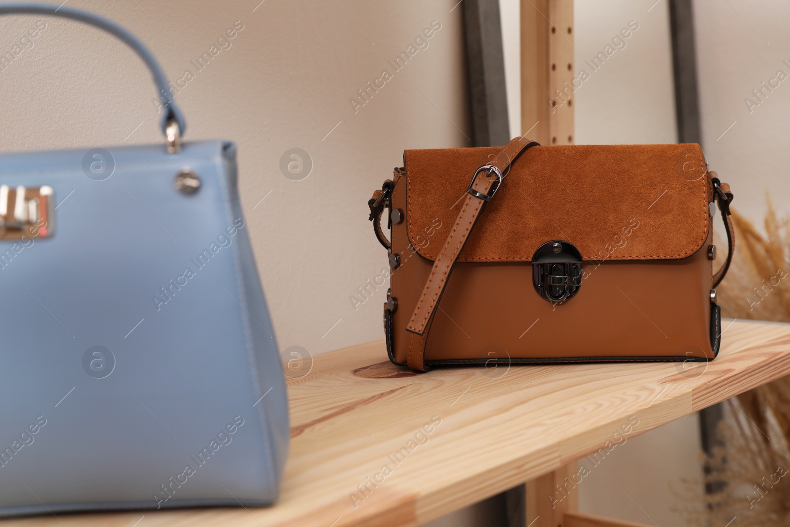 Photo of Stylish woman's bags on shelf in boutique