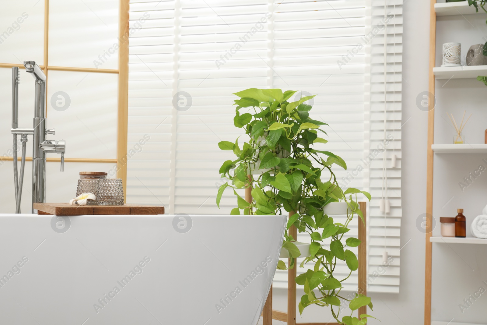 Photo of Spa day. Stylish bathroom interior with ceramic tub and green houseplant