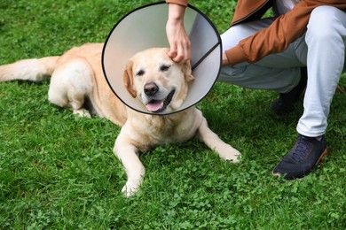 Man petting his adorable Labrador Retriever dog in Elizabethan collar on green grass outdoors, closeup